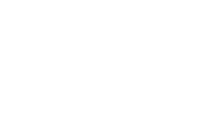 Immobilien
