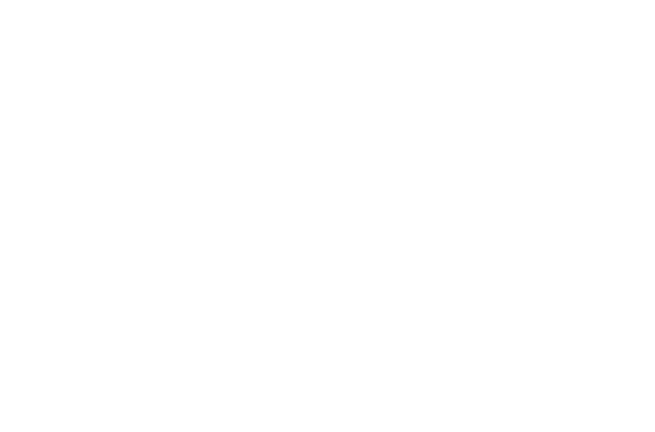 Immobilien
